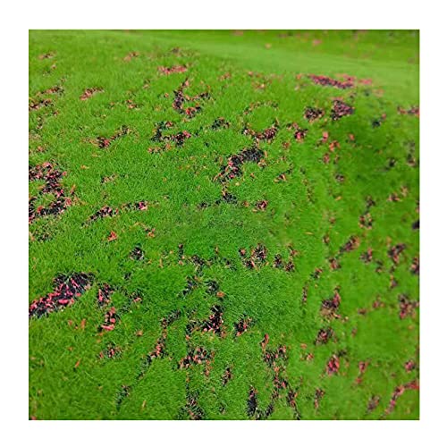 Maxmartt Fake Moss for Crafts 39" x 39" Faux Moss Mat for Plants Indoor Green Artificial Moss Rug for Decorating Planters Crafts DIY Table Centerpieces Fairy Garden Floral Wedding 100 x 100cm