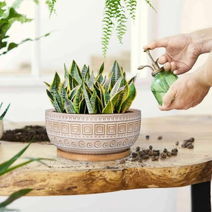 G EPGardening 8 Inch Ceramic Succulent Planter Pots for Indoor Plants Round Shallow Bonsai Planter Pot with Drainage and Bamboo Saucer White - color: White