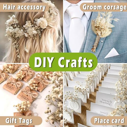 2500+ Mini Dried Babys Breath Flowers, 75 Pcs Ivory White Baby Breath Flowers, Natural Dried Gypsophila Bouquets for Rustic Wedding Decor, DIY Crafts, Gift Wrapping, Vase Arrangement - size: 6 inch