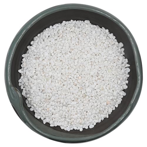2 LBS White Pea Gravel, Natural Succulent and Cactus Gravel Pebbles, Pebbles for Indoor Plants, Natural Gardens Mulching, for Houseplants, for Aquarium Gravel, to Maintain Soil Aeration(4-6mm) - color: White, size: 2 LBS