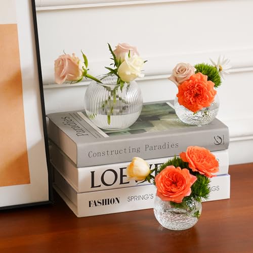 32 Pack Glass Bubble Vases, Small Clear Bud Vases for Table Centerpieces | Round Mini Globe Bubble Bowl, Candle Holders, Wedding Event & Home Decor (3 Textures 2 Sizes)