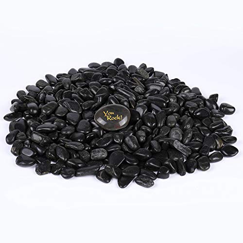 RockImpact 11 lbs. Landscaping Rocks, Highly Polished Garden Decorative Stones, Succulent Rocks, Pebbles for Bonsai Plant Pot, Lucky Bamboo, Kids Crafts, Aquarium, Terrarium Rocks (Jet Black, 3/4")