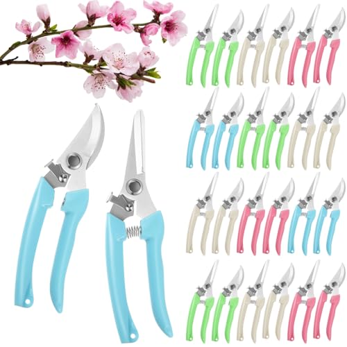 Amylove 24 Pcs Garden Flower Shears Pruning Scissors Valentine Heavy Duty Plant Scissor Garden Clippers Hand Bypass Pruner for Gardening Plants Hedge Tree Cutting Miniature Bonsai Modeling(Multicolor) - style: Multicolor