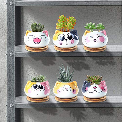 3.6Inch Cat Pot for Plant, Cat Planter Succulent Pot with Drainage Set of 6 - color: Sitting Cats 6pcs