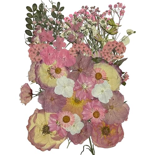 Pink Dried Pressed Natural Flowers for Resin Candle Soap Card DIY Decor - color: 48pcs Pink Sakura