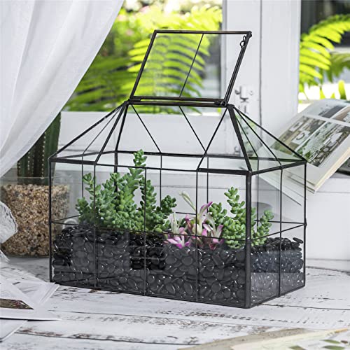 NCYP Glass Terrarium - Glass House Shape Terrarium with Lid, and Geometric Open Glass Terrarium Planter, for Small Succulent Cacti, Garden Tabletop Decor (No Plants)
