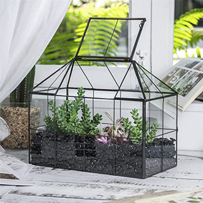 NCYP Glass Terrarium - Glass House Shape Terrarium with Lid, and Geometric Open Glass Terrarium Planter, for Small Succulent Cacti, Garden Tabletop Decor (No Plants)