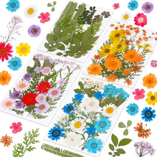 96Pcs Dried Pressed Flowers for Resin, Bulk Natural Dried Flowers,for Scrapbooking DIY Art Crafts Resin Accessories, Soap,Candle Making Nails Decor. Epoxy Resin Jewelry Molds.Craft Making - color: 96pcs Multicolour