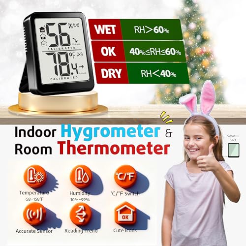 2-Pack Digital Room Thermometer Hygrometer with Battery
