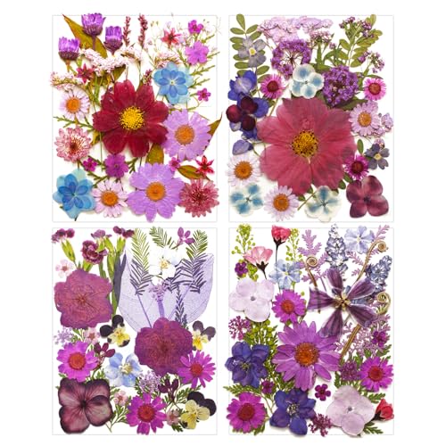 Dried Pressed Flowers Leaves Kit(120Pcs Purple) | Real Natural Flowers, Scrapbook Supplies, Candle & Soap Making, Jewelry Crafting, Phone Case Decor - color: 120pcs Purple
