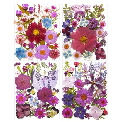 Dried Pressed Flowers Leaves Kit(120Pcs Purple) | Real Natural Flowers, Scrapbook Supplies, Candle & Soap Making, Jewelry Crafting, Phone Case Decor - color: 120pcs Purple