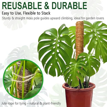 Soupiar 4 Pack 22 Inch Stackable Moss Pole - Thick & Sturdy Natural Coir Totem Plant Support & Garden Stakes for Monstera & Pothos, Indoor Climbing Vining Houseplants, 70" H Max - color: 4 × 22 Inch