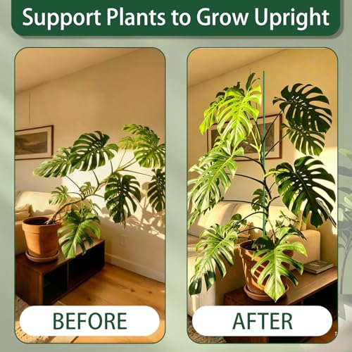 Garden Stakes 17Inch 20Pcs HOUNANG Adjustable Length Plant Support Stakes | DIY 4ft 5ft6ft7ft 8ft Fiberglass Plant Stakes for Gardening with14Connectors 50Ties for Indoor OutdoorPlants,Tomato,Vegetable - size: 17inch 20pcs