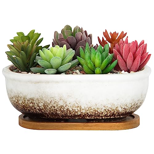 ARTKETTY Succulent Pots, 7.9'' Large Ceramic Pots for Indoor Cactus Plants - color: White