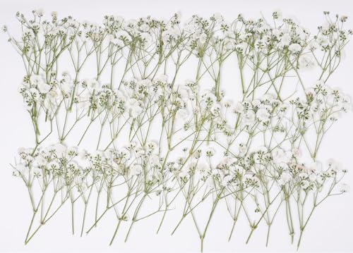 48 Pcs Natural Dried Pressed Mini Baby's Breath Flowers for Cake Decorating, Wedding Invitations, Real Dry Gypsophila Flower for Resin Jewelry Making, DIY Art Crafts(Baby's Breath) - color: Baby's Breath