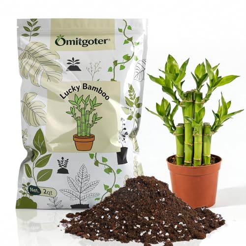 Pure Natural Potting Soil for Lucky Bamboo Plants 2qt- Superior Drainage & Breathability, Ideal Indoor Plant Soil - color: LuckyBambooSoil, size: 2QT