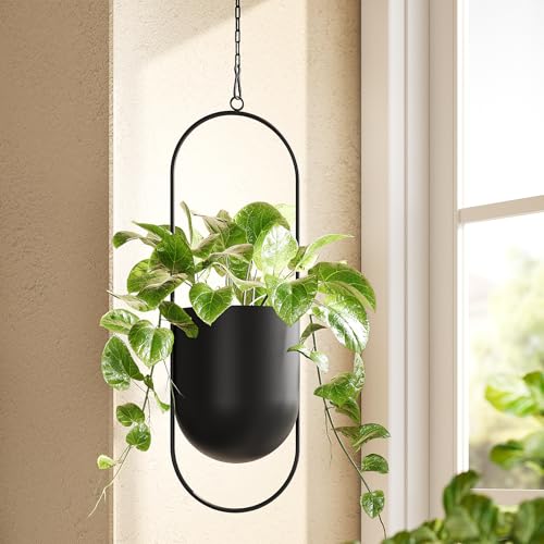 Bamworld Black Hanging Planters for Indoor Outdoor Plants Metal Hanging Pot | 5.5 Inch Modern Hanging Baskets, Window Plant Hanger, Ceiling Hanging Flower Pots with Chain for Wall Decor, Oval - size: 5.5 Inch