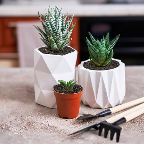 TOPZEA 12 LB Black Lava Rocks Sand for Plants, Potting Soil Decorative Landscaping Gritty Pumice, Crushed Volcanic Stone Gravel for Bonsai Succulent Cactus, Top Dressing, Vase Filler, Fairy Gardening