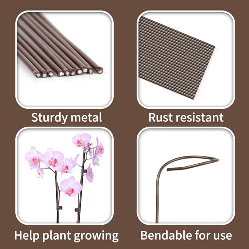 10Pcs Plant Support Stakes with 15Pcs Plant Clips, 16inch Plant Sticks - color: Brown-16inch