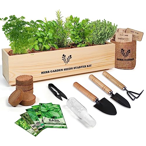 Meekear 5 Herb Seeds Garden Starter Kit with Complete Planting Kit & Wooden Flower Box, Growing into Basil, Parsley, Rosemary, Thyme, Mint for Kitchen Windowsill Herb Garden DIY