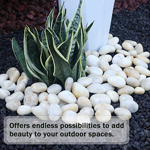 11LB Stones Pebbles River Rocks, 100% Natural Hand-Picked Premium Decorative Pebbles, Ideal for Garden Landscaping, Home Decor, Aquariums, Painting, Crafting and Gifts, Cream White - size: 11 Pounds, style: Cream White
