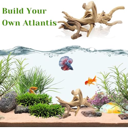 Tfwadmx Natural Driftwood for Aquarium, 11-13 inch Reptile Branches Terrarium Wood Aquarium Trunk Driftwood Tree Fish Tank Log Decoration Pack of 2 - size: Spiderwood（7-13 inch pack of 2）