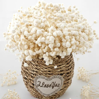 2500+ Mini Dried Babys Breath Flowers, 75 Pcs Ivory White Baby Breath Flowers, Natural Dried Gypsophila Bouquets for Rustic Wedding Decor, DIY Crafts, Gift Wrapping, Vase Arrangement - size: 6 inch