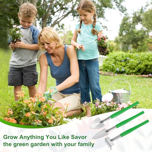 M METERXITY 2-Set Mini Gardening Tools, Stainless Steel Miniature Gardening Rake, Trowel, and Shovel for Seedlings/Bonsai/Succulents/Herbs/Terrariums and Planting [Green] - color: Green