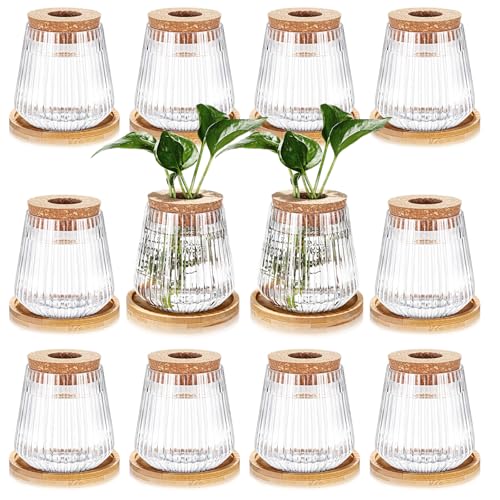 Baderke 12 Packs Propagation Vases for Plants Plastic Plant Propagation with Hole Lid and Bamboo Stand Growing in Water Hydroponic Home Office Desktop Vase Decoration - style: Vertical Grain Style