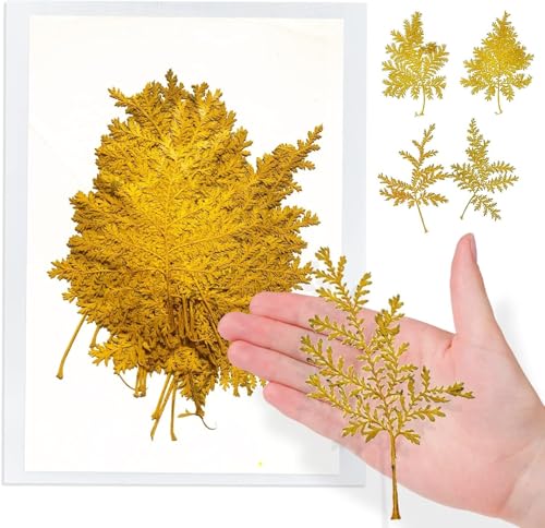 ALJ Yellow Dried Pressed Leaves for Resin Crafts Decor, 42PCS Natural Real Pressed Dried Artemisia Leaves, Dry Wormwood Leaf for Resin Mold DIY Pressed Leaf Art Craft DIY Embellishment Decorations - color: Artemisia Leaves-Yellow