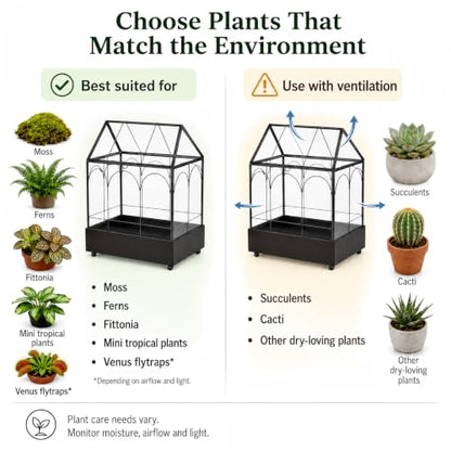 Large Tall Glass Plant Terrarium – House Succulent Terrarium Kit with Lip and Tray Glass Greenhouse Terrarium for Plant 9.5”X5.7”X11.4” - color: Black 3