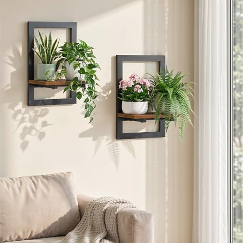 Housolution 2 Pack Wall Plant Holder, Picture Frame Design Plant Shelf - size: 2 Pack
