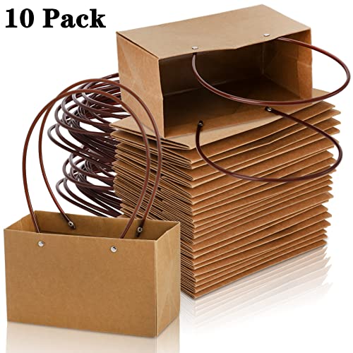 DEAYOU 10-Pack Kraft Paper Flower Gift Bags, Brown Bouquet Bag Box with Handle, Small Brown Paper Carrier Tote Bags with Waterproof Lining for Floral Arrangements, Party Favor, Ultra Thick