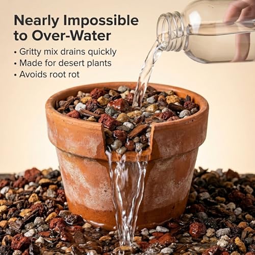 Molly's Succulent Potting Mix, Cactus and Bonsai Gritty Blend, 3 Dry Quarts - size: 3 Dry Quarts, style: Succulents & Cacti
