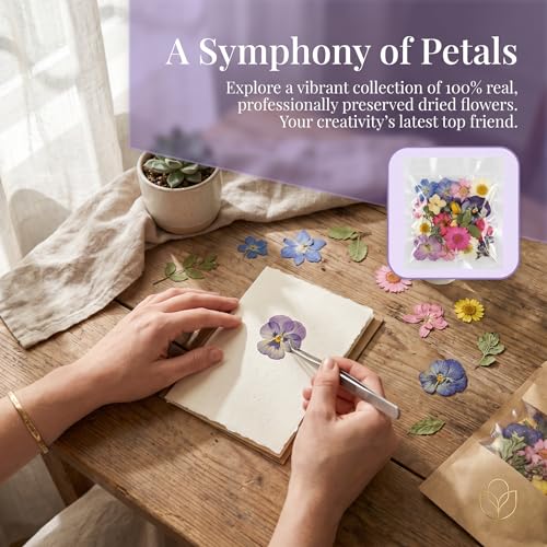 135 Pcs Dried Pressed Flowers for Crafts Resin Real Flat Natural Pressed Flowers with Tweezer for Scrapbooking Silicone Epoxy Resin Molds Crafts Candle Soap Making Nail Bookmark Jewelry DIY Art Supply - color: 135pcs Purple