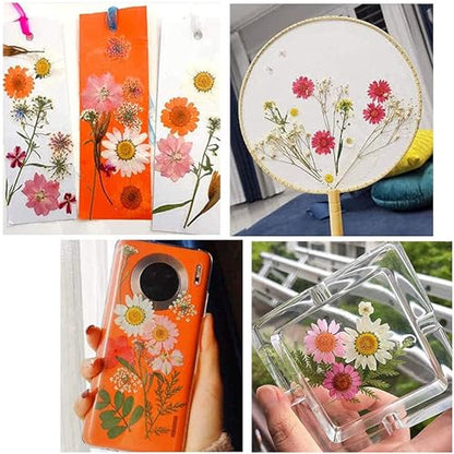 Cayway 4 Pack Pressed Flowers Natural Dried Flowers Colorful Resin Flowers Real Pressed Flowers for Resin Scrapbook DIY Art Crafts, Epoxy Resin Jewelry, Card Making Supplies, Style G - color: 4 Pack Pressed Flowers B