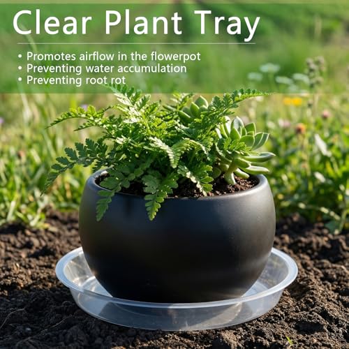 6Pack Plant Saucer, 3 5 7 9 11 13 15 17 19 21 in Plastic Plant Tray | Heavy Duty Plant Drip Trays, Clear Plastic Flower Pot Saucers, Plant Water Catcher Tray for Indoor Outdoor Planters (5 Inch) - size: 5 Inch