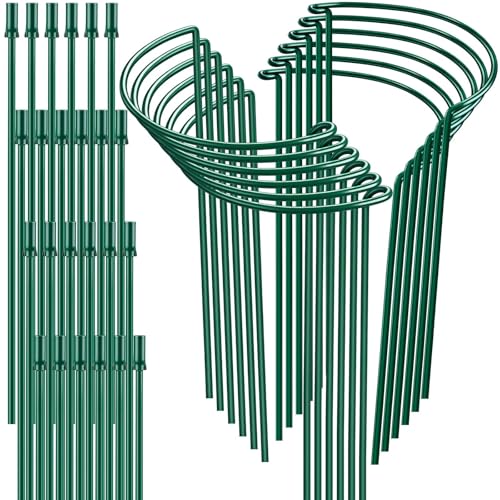 12 Pack 32 or 16 inch Adjustable Plant Support Stakes, Heavy-Duty Half Round Peony Support, Garden Plant Stakes Cage for Outdoor Plants, Peony, Tomato, Hydrangea, (16In Support +16In Extension Tubes) - color: Green - 12 Pack, size: 10" W x 31.8" H