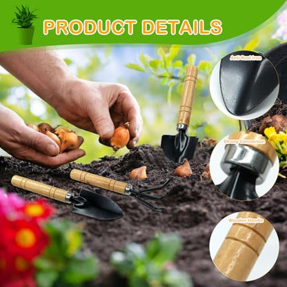 Mini Garden Tools for House Plants,Small Trowel,Mini Shovel and Hand Rake | Small Garden Tools for Succulent,Bonsai,Pot Plants,Rust-Resistant Heads;Non-Slip Wooden Handles,Repotting and Soil Loosening