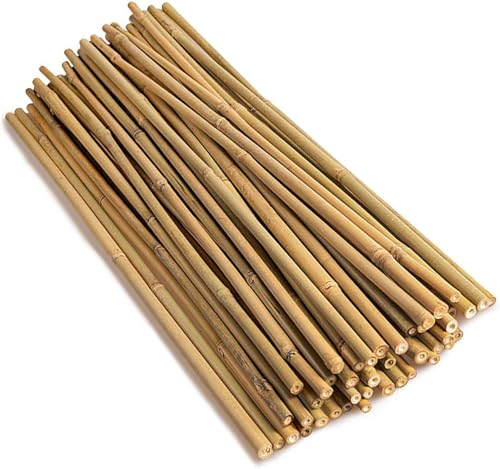 Natural Bamboo Plant Stakes (BS-18in-30pcs) - size: BS-18in-30pcs