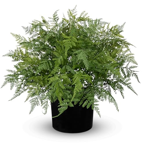 Hollyone 16.9" Artificial Cedar in Pot Faux Cedar Fern Topiary for Outdoors Indoor Fake Ferns Large Ferns Faux Potted Plants Greenery Bush for Door Patio Garden Farmhouse Windowsill Office Home Decor - color: Large #4