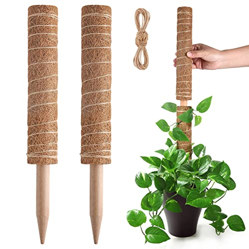 Pisol Moss Pole for Plants Monstera, Extendable Plant Sticks Support, 2Pcs | 15.7'', Help Plants Grow Better, Natural Coconut Plam Fiber, Easy and Fast Installation, Suitable for Indoor Outdoor Plants - size: 15.7" * 2pc