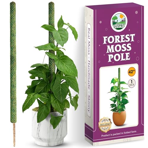 42" Mesh Moss Pole for Climbing Plants, Pre-Made & Easy to Set Up | Natural Moss Pole Monstera Plant Support, Real Moss Poles for Plants Indoor, Moss Stakes for House Plants - size: 42"