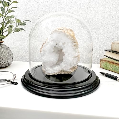 Plymor 5.5" x 5.5" Glass Display Dome Cloche (Black Wood Veneer Base) - color: Black Wood Veneer Base