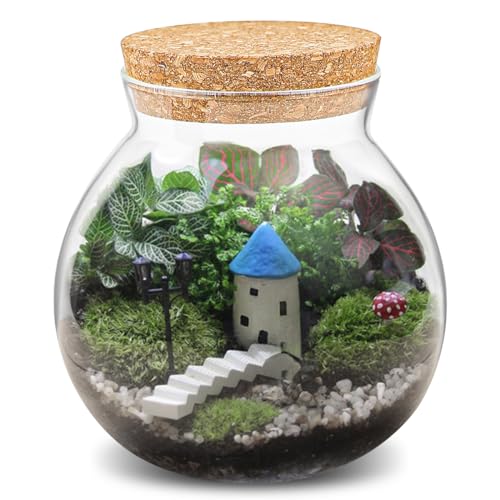 DOERDO Clear Glass Jar with Lid, Airtight Food Storage Containers for Canning, Cereal, Sugar, Beans, Spice, Coffee, Tea, 34oz/1000ml - color: No Hole