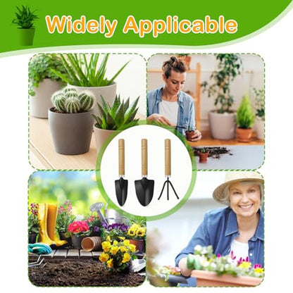 Mini Garden Tools for House Plants,Small Trowel,Mini Shovel and Hand Rake | Small Garden Tools for Succulent,Bonsai,Pot Plants,Rust-Resistant Heads;Non-Slip Wooden Handles,Repotting and Soil Loosening