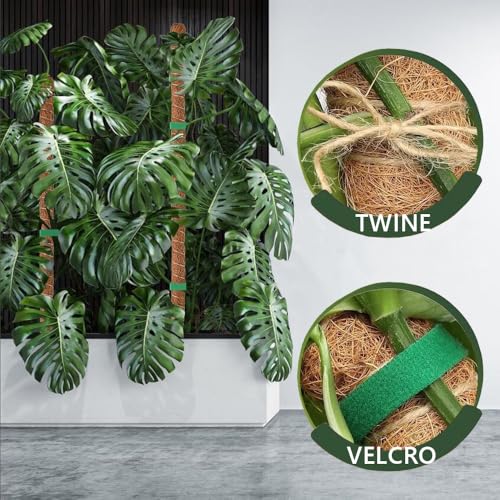 MAFONE 2 Pack 28” Bendable Moss Pole Monstera Plant Support | Bendable Stakes for Potted Climbers Tall Sticks Indoor Trellis Plant Pole Moss Plant Stick Support Stake Kit - size: 28inch