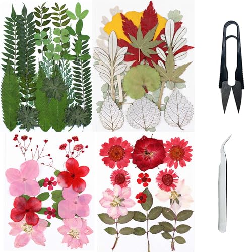 Cayway Natural Dried Pressed Flowers, Natural Dried Pressed Leaves, Natural Dry Flowers Leaves with Tweezers, Scissors for Pressed Leaf Art Craft DIY Embellishment Decorations (Green Pink Red) - color: 2 Packs+2 Packs Leaves C