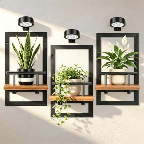 Wall Plant Holder with Light, 3 Pack Floating Shelves for Wall