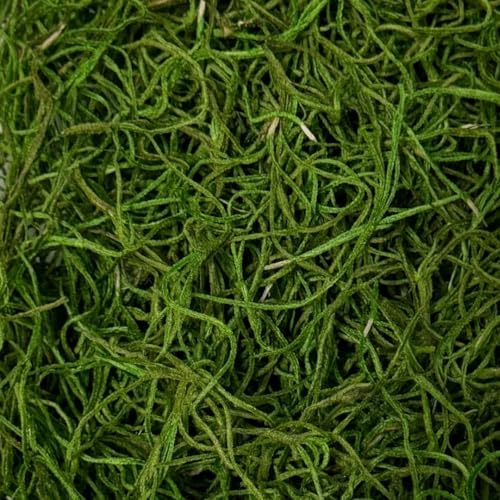 Preserved Spanish Moss 108.5 Cubic Inches-Apple Green